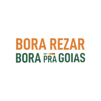 Viagem Sticker by Goiás Turismo