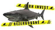 Sticker by RHinvest