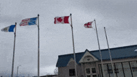 Gusty Winds Whip Through Newfoundland