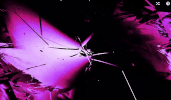 GIF by Canek
