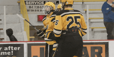 You Cant Do That Golden Bears GIF by Hockeyland