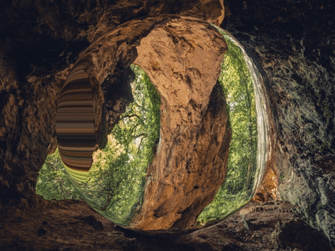 You Can Wow GIF by FranchiseONE.de