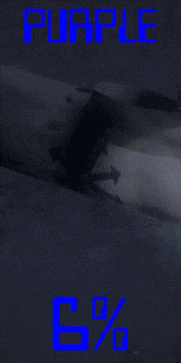 Crime Conspiracy GIF by Komplex