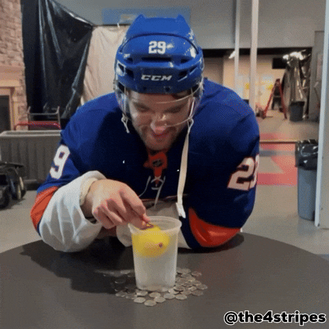 Hockey Nhl GIF