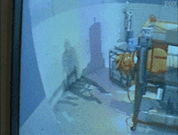 x files GIF by The X-Files