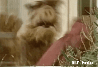 alf lionsgate GIF by HULU