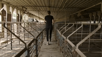 Vegan Animal Rights GIF by Mercy For Animals