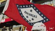 College Football Hogs GIF by Arkansas Razorbacks