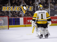 Belive Ice Hockey GIF