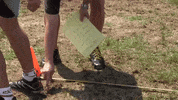 big cat kfc GIF by Barstool Sports