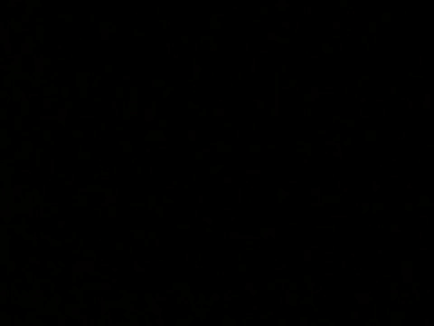 The White Stripes - Fell In Love With A Girl