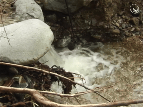 Advanced Studio Recording Techniques