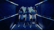 North Carolina GIF by UNC Tar Heels