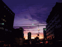 GIF by Canek