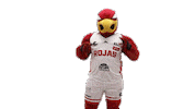 Veracruz Lsm Sticker by ABJ Halcones
