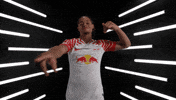 Germany Football GIF by Bundesliga