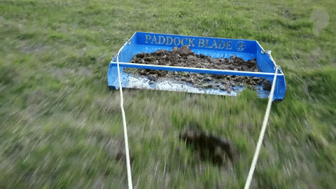 Paddock_Blade giphygifmaker horse shit paddockbladeaustralia paddockbladeau GIF