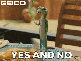 Yes And No Wishy Washy GIF by GEICO