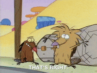 nickrewind nicksplat angry beaver GIF