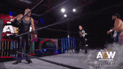 Aew GIF by ALL ELITE WRESTLING