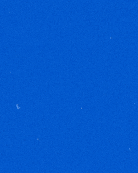 riverhawknation ncaa river hawks america east uml GIF