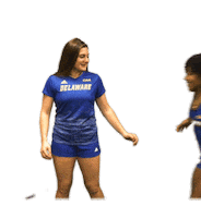 College Sports Love Sticker by Delaware Blue Hens