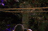 cmt GIF by Redneck Island