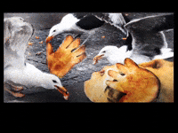 Walk Eat GIF by Alex Boya