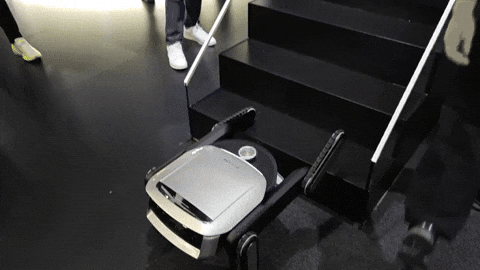 sozinet giphyupload GIF