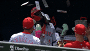 De La Cruz Baseball GIF by Cincinnati Reds