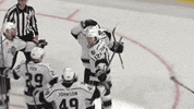 Reignhockey GIF by Ontario Reign