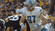 Detroit Lions Football GIF by NFL