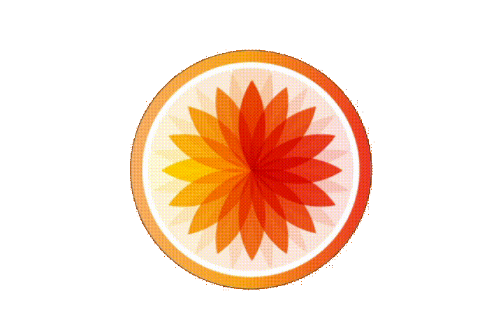 Bike Spin Sticker by TEAMride Studios