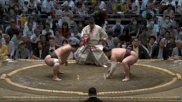 TZ85 giphyupload sumo 2023 aki basho nishikifuji GIF