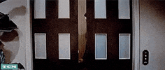 Doris Day Comedy GIF by Turner Classic Movies