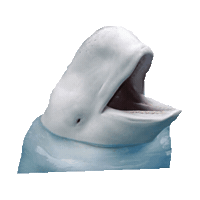 water ocean STICKER by imoji