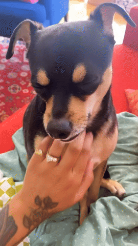 Take a few deep breaths - breathe in, breathe out