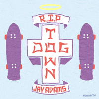 Jay Adams Skate GIF by gifnews