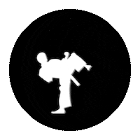 blackbeltinsales blackbelt blackbeltinsales amazoncoach leoblackbelt Sticker