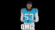 Happy North Carolina GIF by Carolina Panthers
