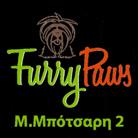 GIF by Furry Paws