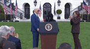 Kamala Harris GIF by GIPHY News