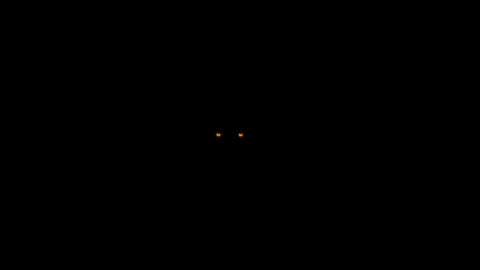 Eyes Glowing GIF by Cherylyn Barnes
