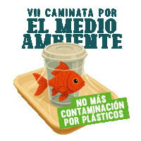 carderrisaralda carder vii caminata por el medio ambiente Sticker