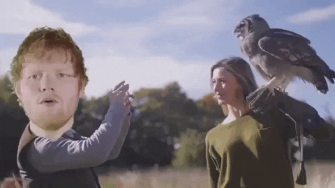 justin bieber i dont care GIF by Ed Sheeran
