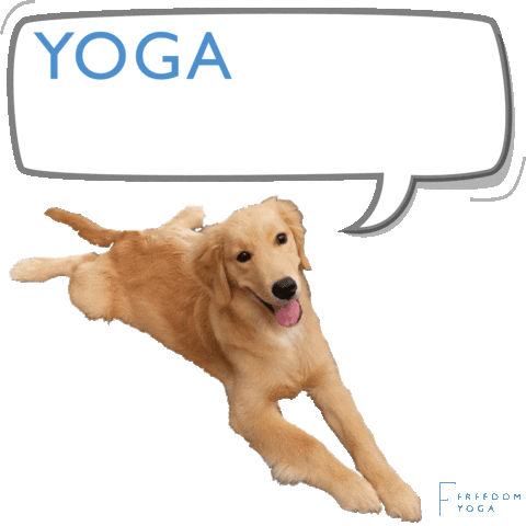 Dog Puppy Sticker by Freedom Yoga & Wellness