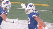 Regular Season Football GIF by NFL