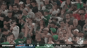 Regular Season Football GIF by NFL