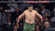 Bam Bam Sport GIF by UFC