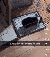 Claytone23 GIF